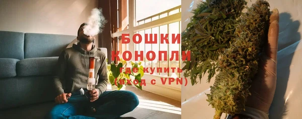 индика Гусиноозёрск
