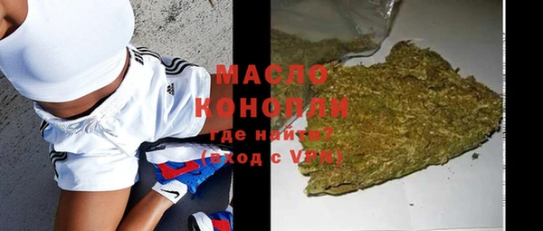 индика Гусиноозёрск