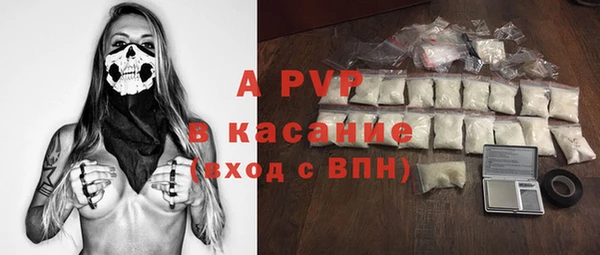 индика Гусиноозёрск