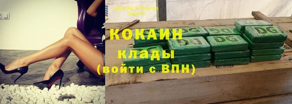 apvp Гусь-Хрустальный
