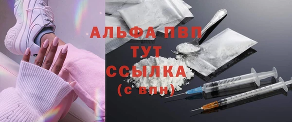 прущие крисы Гусев