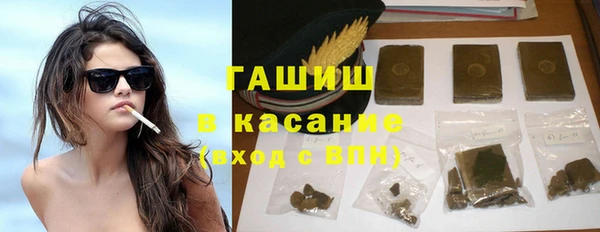индика Гусиноозёрск