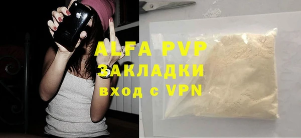 индика Гусиноозёрск