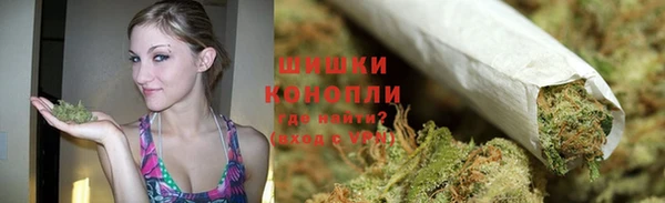 индика Гусиноозёрск