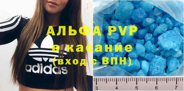 прущие крисы Гусев