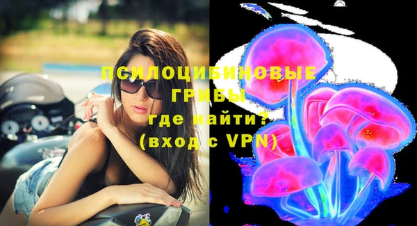 apvp Гусь-Хрустальный