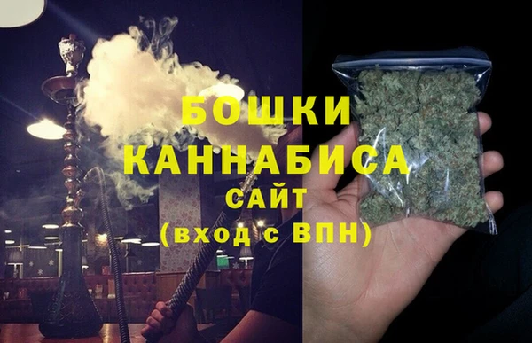 индика Гусиноозёрск