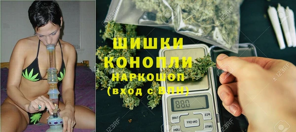 apvp Гусь-Хрустальный