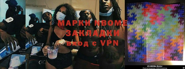индика Гусиноозёрск