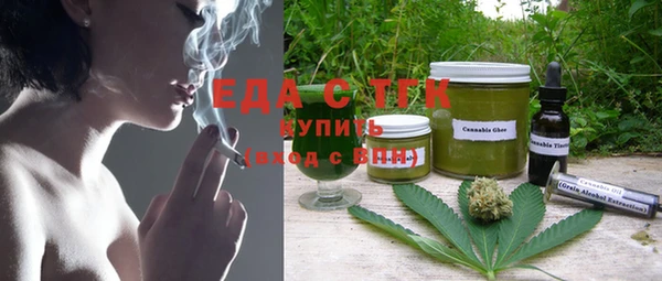 индика Гусиноозёрск