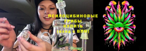 индика Гусиноозёрск
