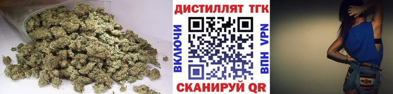 Купить где  Чапаевск  ТГК концентрат 